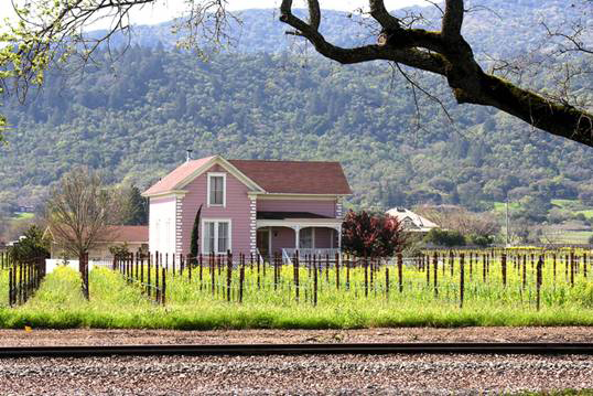 House in a Napa County vineyard